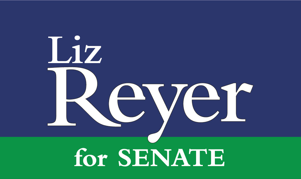 Liz Reyer For State Senate